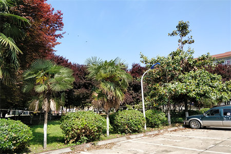 龙华园套三102/车位/附房75万13楼